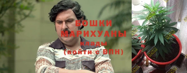 каннабис Алзамай