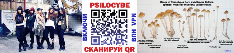 kraken зеркало Новочеркасск Псилоцибиновые грибы Magic Shrooms